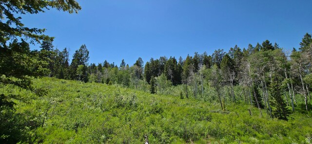 22596 S Snowbird Dr E Unit C31, Spanish Fork, UT 84660 - photo 2