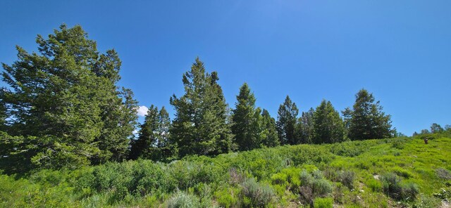 22596 S Snowbird Dr E Unit C31, Spanish Fork, UT 84660 - photo 15