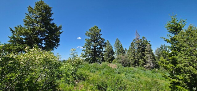 22596 S Snowbird Dr E Unit C31, Spanish Fork, UT 84660 - photo 16
