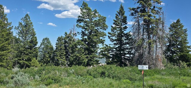 22596 S Snowbird Dr E Unit C31, Spanish Fork, UT 84660 - photo 8