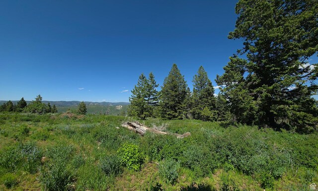 22596 S Snowbird Dr E Unit C31, Spanish Fork, UT 84660 - photo 9
