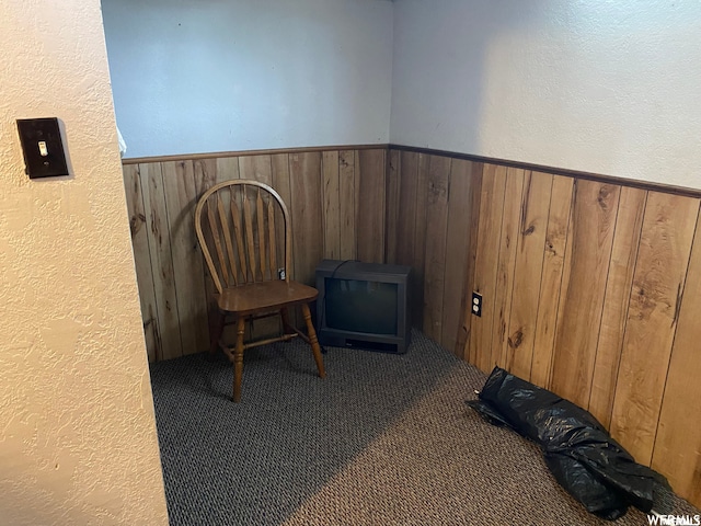 333 W Railroad Ave, Price, UT 84501 - living area featuring dark colored carpet and wooden walls
