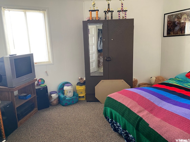 333 W Railroad Ave, Price, UT 84501 - view of carpeted bedroom