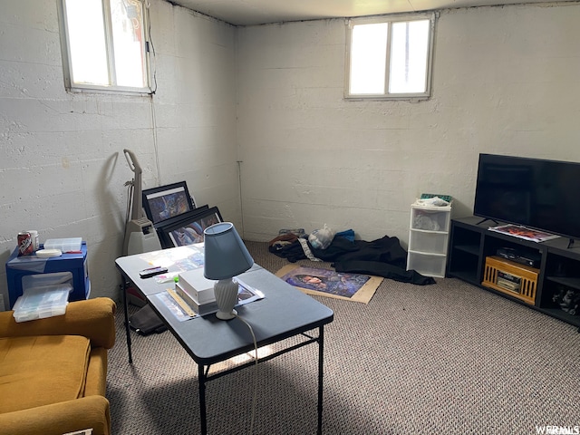 333 W Railroad Ave, Price, UT 84501 - view of carpeted home office