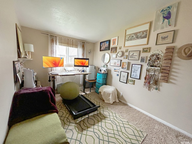 interior space with light carpet