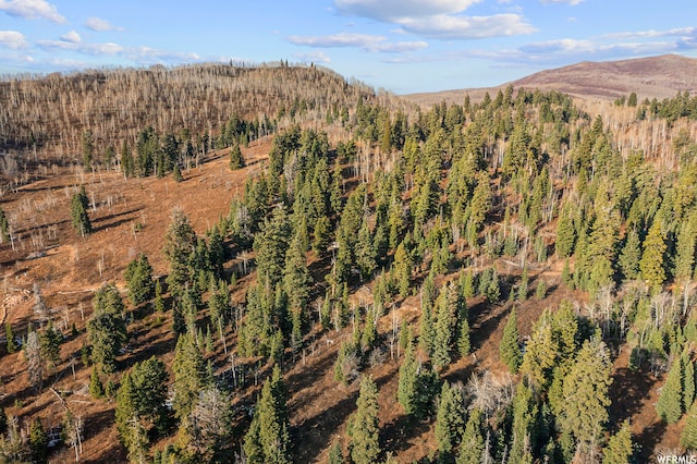 1974 Elk Rd Unit 140, Coalville, UT 84017