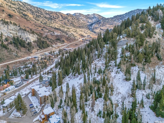 9840 S Martha Rd, Alta, UT 84092