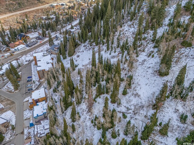 9840 S Martha Rd, Alta, UT 84092