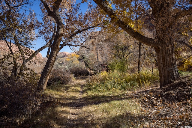 1389 E Powerhouse Ln S, Moab, UT 84532