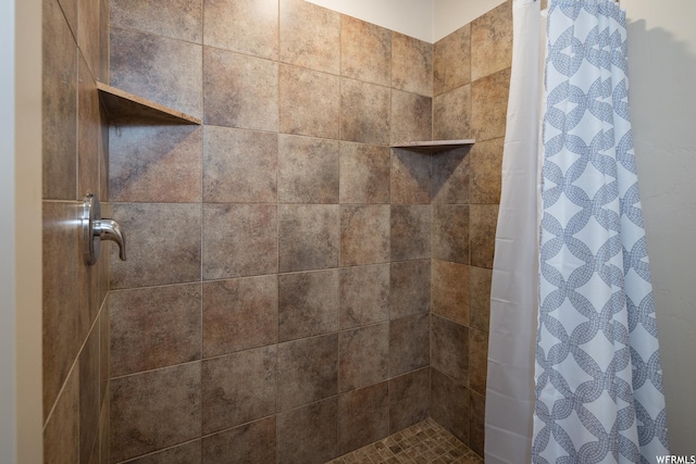 3862 Desert Willow Cir Unit 9-A1, Moab, UT 84532 - interior details featuring a shower with curtain