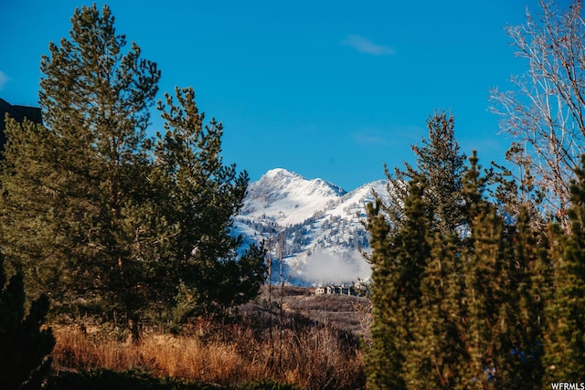 6552 E 1100 S, Huntsville, UT 84317