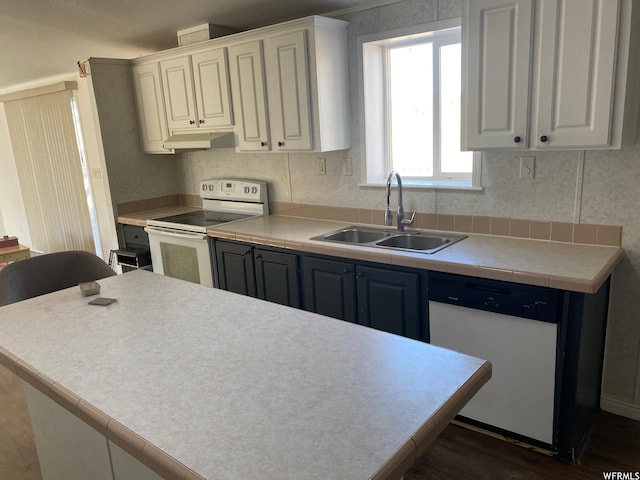 33258 W 8375 S, Fruitland, UT 84027 - kitchen with under cabinet range hood, a sink, white appliances, and white cabinets