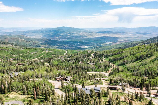 143 White Pine Canyon Rd, Park City, UT 84060 - photo 50