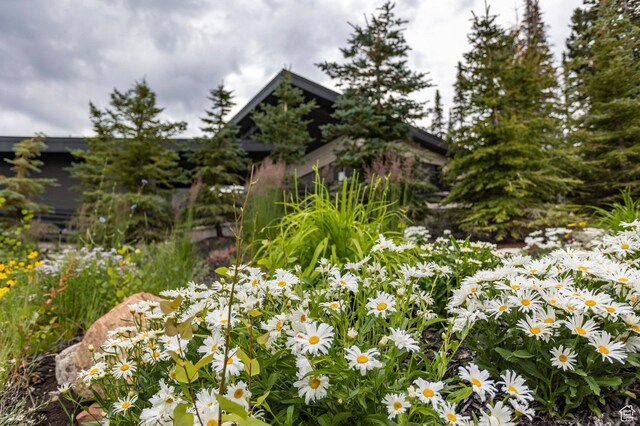 143 White Pine Canyon Rd, Park City, UT 84060 - photo 52