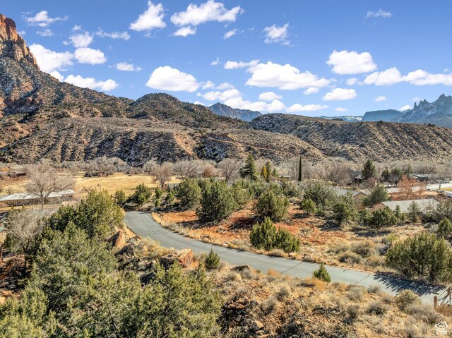 Claret Cup Ln Unit 162, Springdale, UT 84767