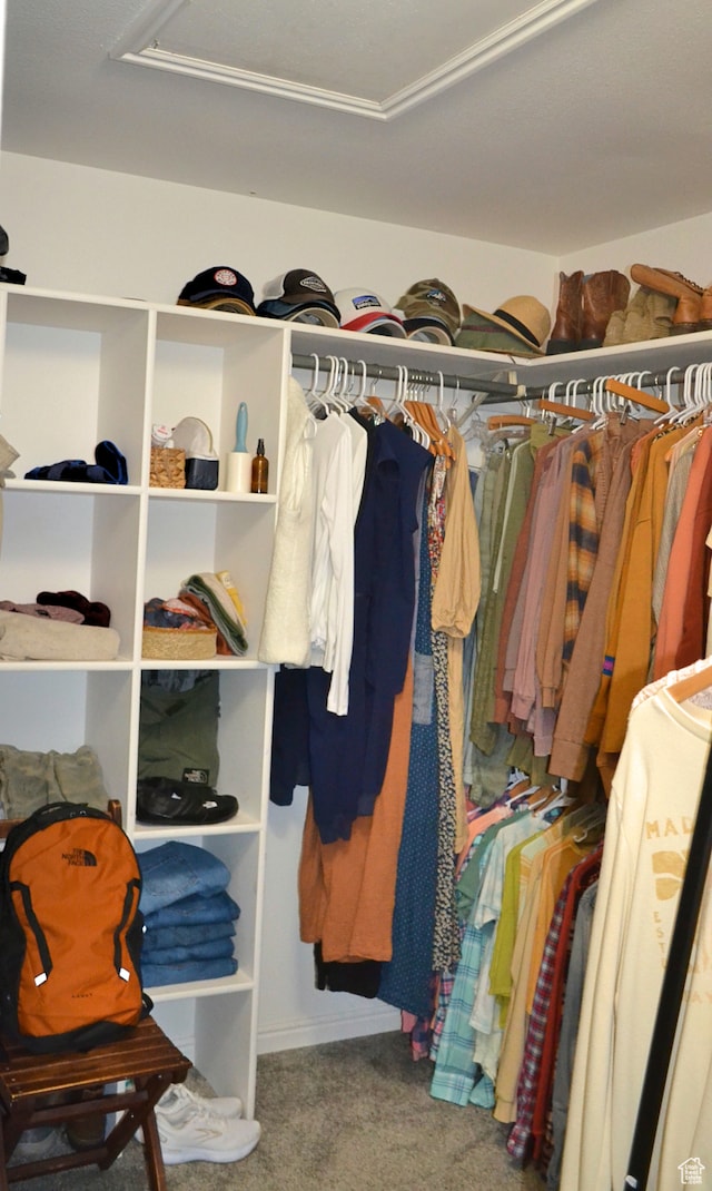 1605 Foxmore St, Pocatello, ID 83204 - walk in closet featuring carpet