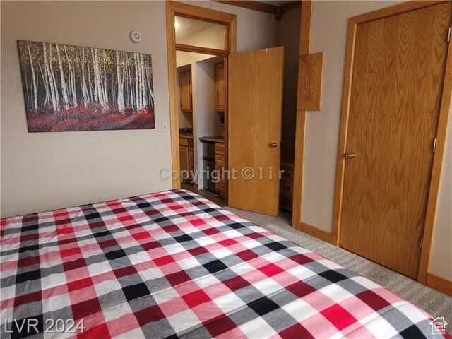 223 Hunter Ridge Rd Unit A202, Brian Head, UT 84719 - unfurnished bedroom featuring a closet and dark carpet