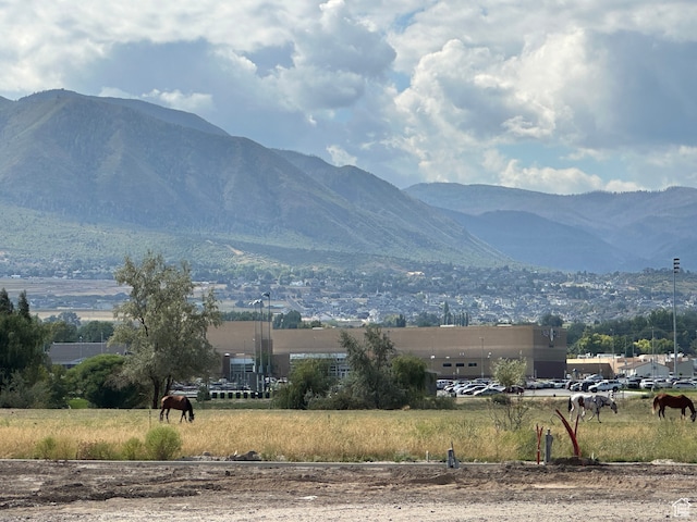 173 W 650 N Unit 10, Salem, UT 84653