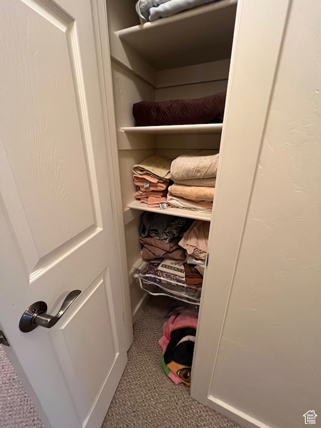 3764 Prickly Pear Cir Unit 2-A8, Moab, UT 84532 - view of closet