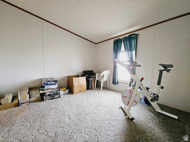 3628 E 3750 S, Ballard, UT 84066 - workout room with carpet and a textured ceiling