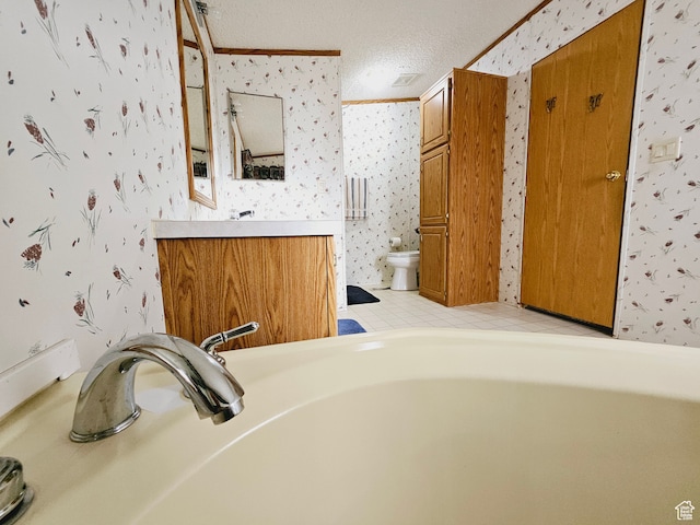 3628 E 3750 S, Ballard, UT 84066 - bathroom with vanity, a textured ceiling, toilet, and ornamental molding