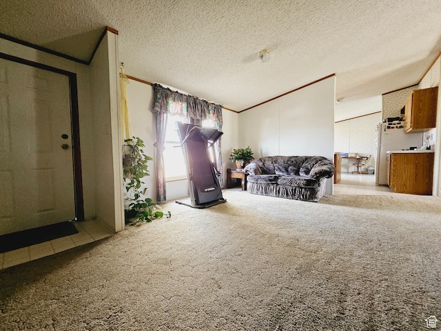 3628 E 3750 S, Ballard, UT 84066 - carpeted living room featuring a textured ceiling