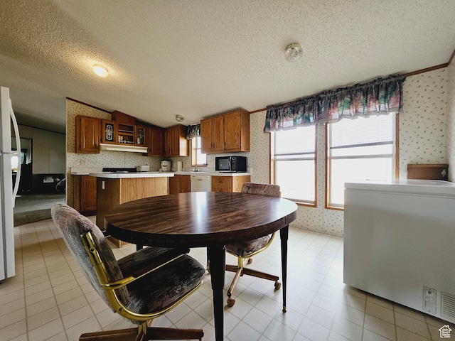 3628 E 3750 S, Ballard, UT 84066 - dining area featuring a textured ceiling and vaulted ceiling