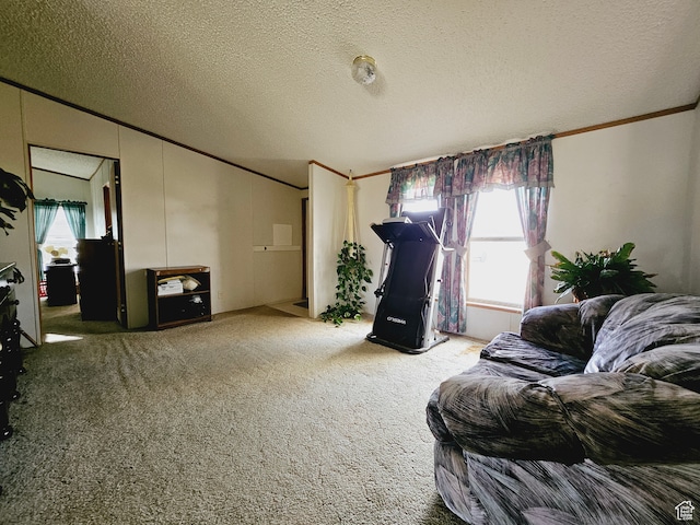 3628 E 3750 S, Ballard, UT 84066 - living room with a textured ceiling, carpet floors, and ornamental molding