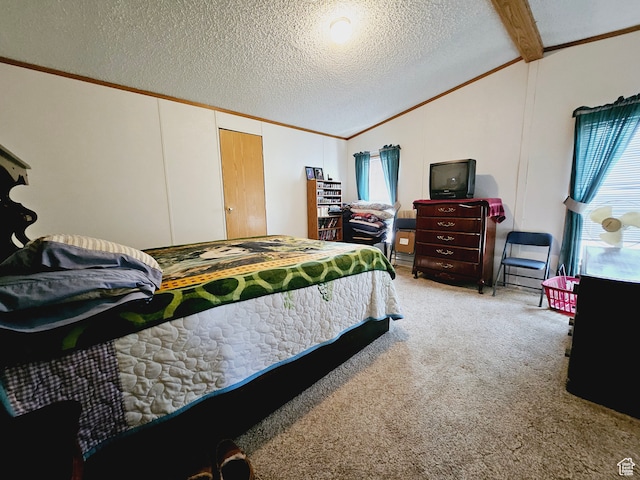 3628 E 3750 S, Ballard, UT 84066 - bedroom featuring carpet flooring, vaulted ceiling with beams, and a textured ceiling
