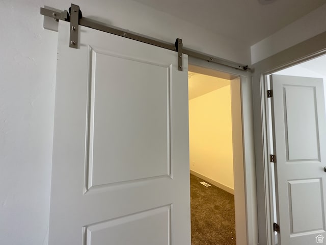 216 W Seasons Ln Unit 46, Garden City, UT 84028 - detailed view of a barn door and carpet