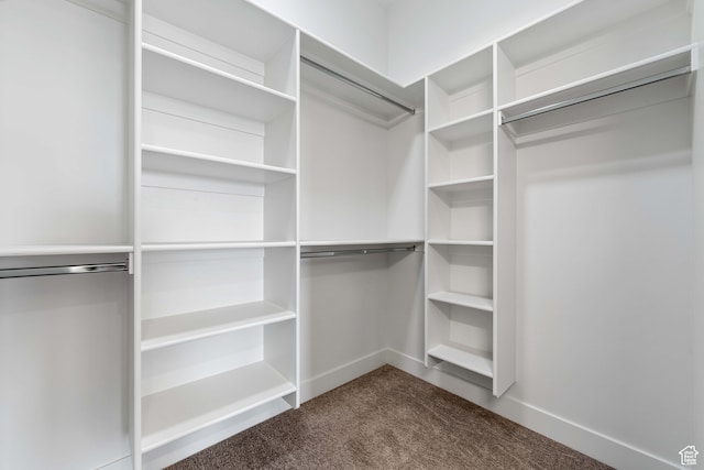 1560 W Torrey Pines Rd, Hurricane, UT 84737 - spacious closet featuring dark colored carpet