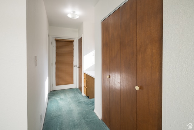 491 Mountain View Dr, Moab, UT 84532 - hall with dark colored carpet