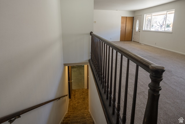 491 Mountain View Dr, Moab, UT 84532 - stairway with carpet