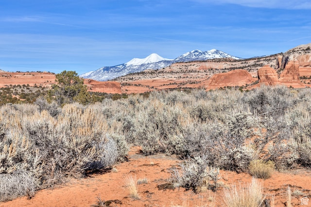 366 S Joe Wilson Dr Unit L, La Sal, UT 84530