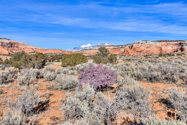 366 S Joe Wilson Dr Unit L, La Sal, UT 84530