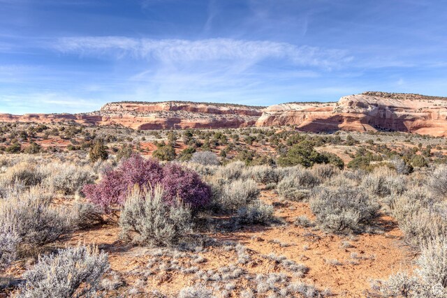 366 S Joe Wilson Dr Unit L, La Sal, UT 84530