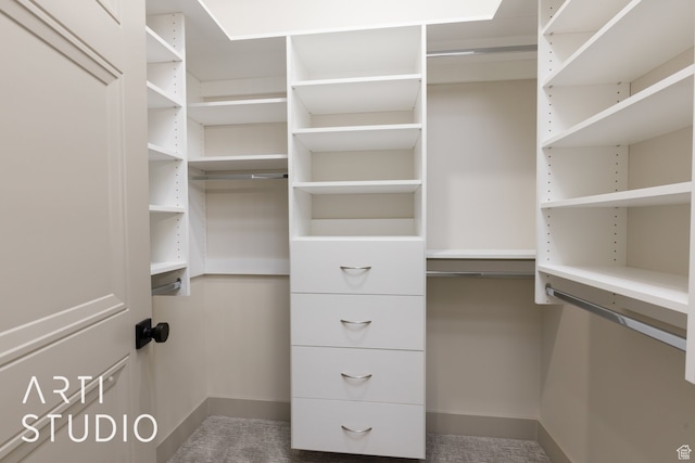 3209 S Dyami Vw Unit 11, Hurricane, UT 84737 - walk in closet with carpet