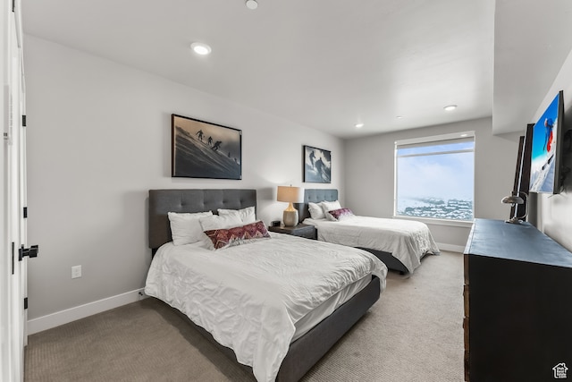 909 W Peace Tree Trl Unit 507, Heber City, UT 84032 - view of carpeted bedroom