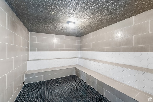 909 W Peace Tree Trl Unit 507, Heber City, UT 84032 - bathroom featuring tile walls and tile floors
