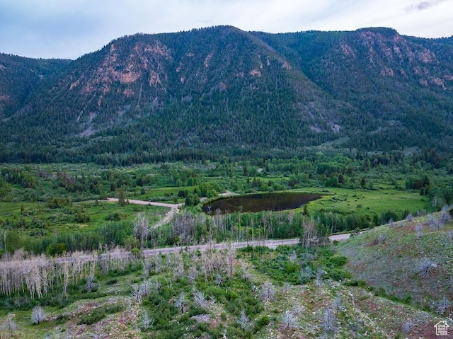 Mountain Home, UT 84051