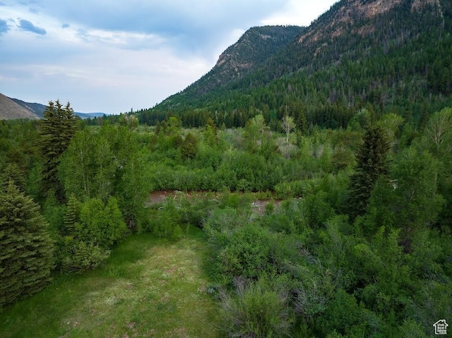 Mountain Home, UT 84051