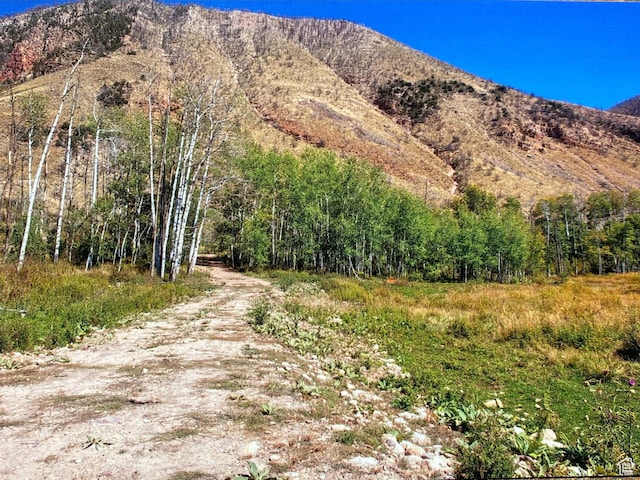 Mountain Home, UT 84051