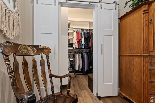 view of closet