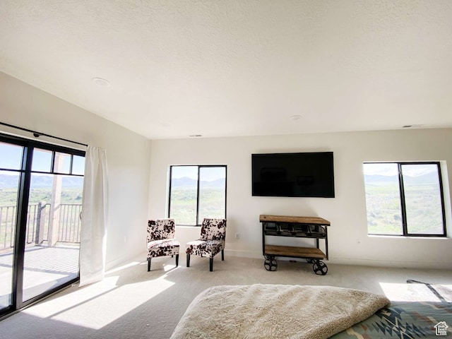 3213 N 4900 W, Malad City, ID 83252 - living room featuring light carpet and plenty of natural light