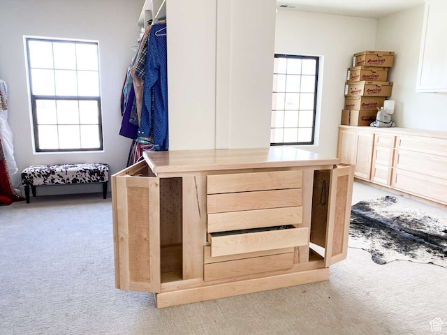 3213 N 4900 W, Malad City, ID 83252 - walk in closet featuring light colored carpet