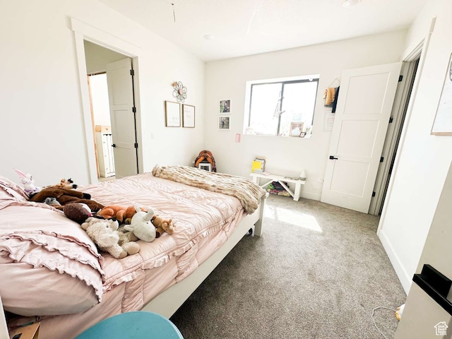 3213 N 4900 W, Malad City, ID 83252 - bedroom with carpet flooring