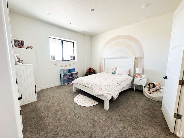 3213 N 4900 W, Malad City, ID 83252 - bedroom with dark colored carpet and radiator heating unit