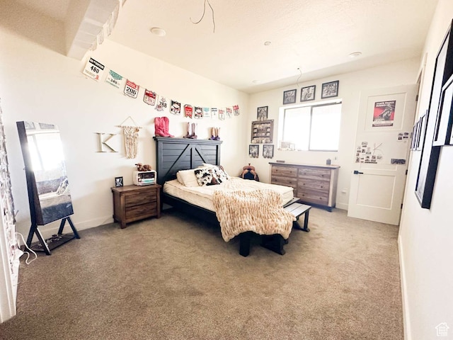 3213 N 4900 W, Malad City, ID 83252 - bedroom with carpet floors