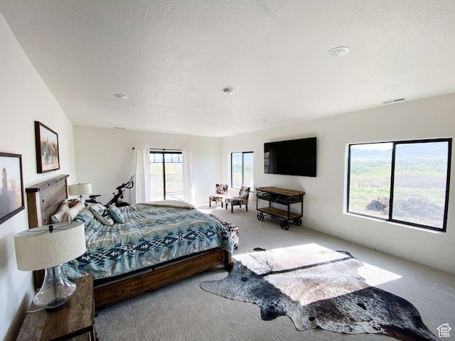 3213 N 4900 W, Malad City, ID 83252 - carpeted bedroom with a textured ceiling