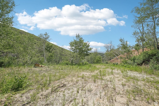 10215 N Basin Canyon Rd Unit 41, Park City, UT 84098 - photo 10